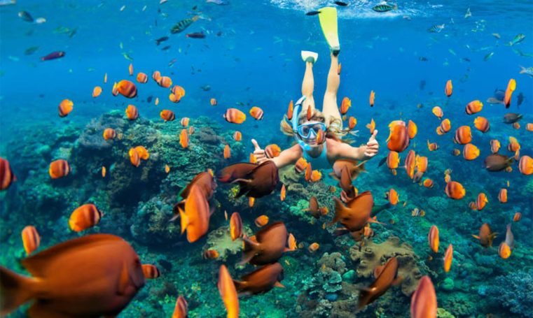 Snorkeling-Zanzibar-Brilliant-Safaris-Tanzania