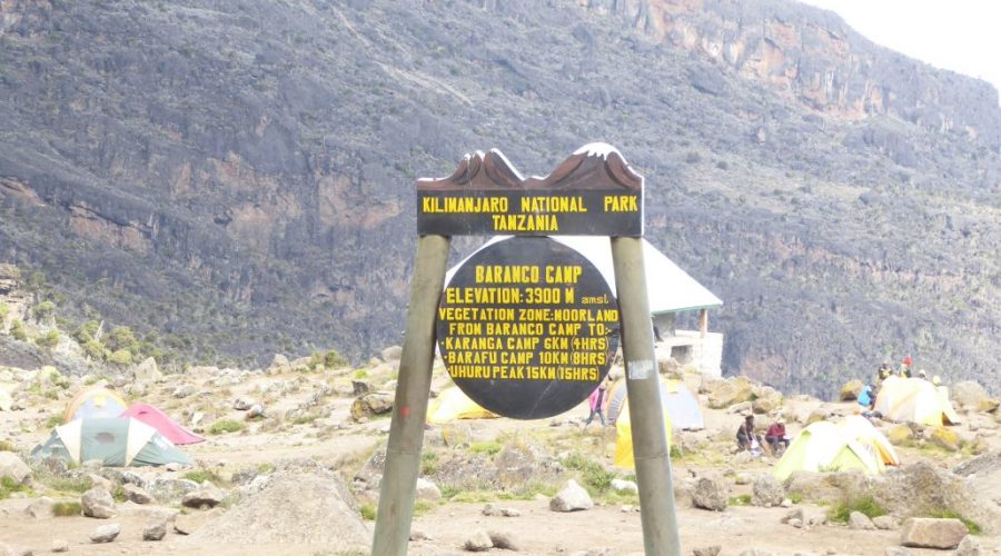 baranco-camp-ruta-machame-ascenso-kilimanjaro-1030x773