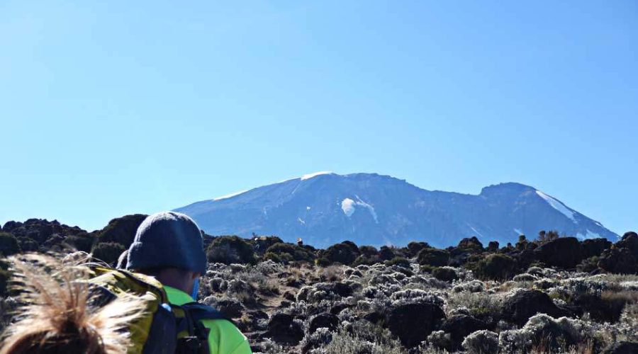 ruta-lemosho-route-kilimanjaro